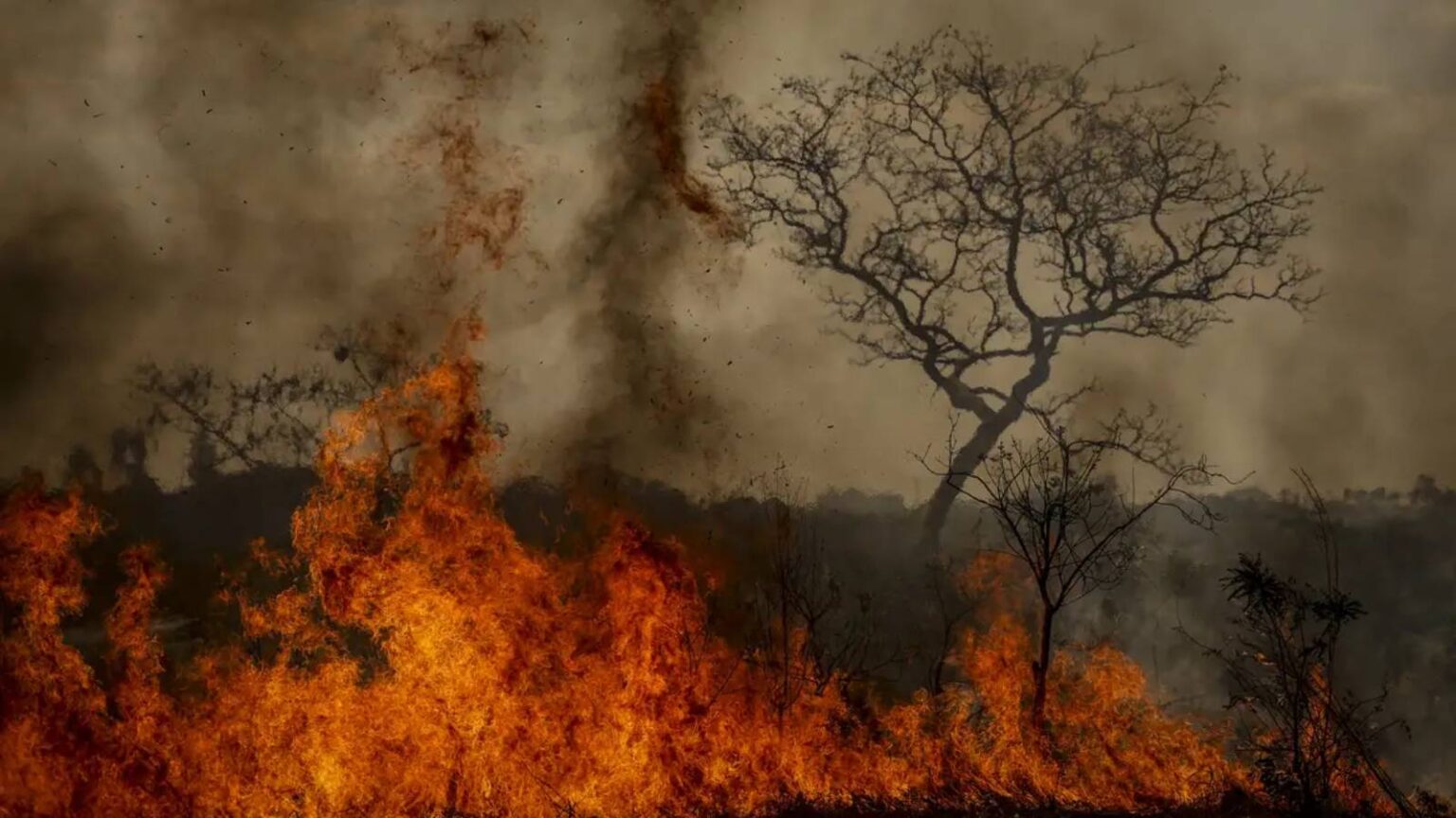 crise-climatica-e-amplificadora-de-outras-crises-alerta-pesquisadora-no-brasil-e-a-agricultura-o-setor-que-mais-emite-gases-de-efeito-estufa-foto-marcelo-camargo-abr-tvt-news