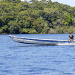 dino-da-prazo-de-60-dias-para-amazonia-e-pantanal-aderirem-ao-sinaflor-sistema-e-o-unico-que-pode-autorizar-supressao-de-vegetacao-nativa-foto-fabio-rodrigues-pozzebom-agencia-brasil-tvt-news