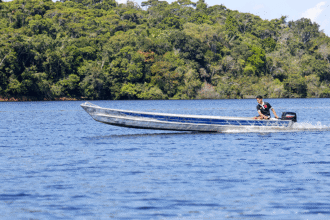 dino-da-prazo-de-60-dias-para-amazonia-e-pantanal-aderirem-ao-sinaflor-sistema-e-o-unico-que-pode-autorizar-supressao-de-vegetacao-nativa-foto-fabio-rodrigues-pozzebom-agencia-brasil-tvt-news