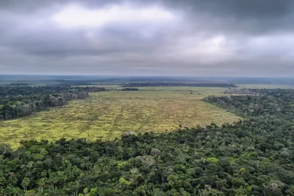 mato-grosso-aprova-leis-ambientais-contrarias-a-legislacao-federal-proposta-pretende-reclassificar-area-da-amazonia-como-cerrado-foto-policia-federal-divulgacao-tvt-news