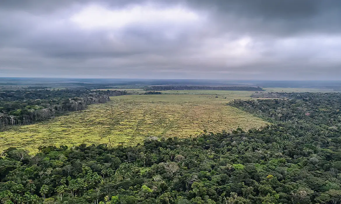 mato-grosso-aprova-leis-ambientais-contrarias-a-legislacao-federal-proposta-pretende-reclassificar-area-da-amazonia-como-cerrado-foto-policia-federal-divulgacao-tvt-news