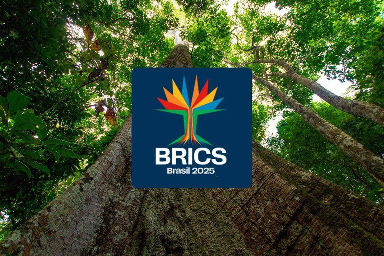 cupula-do-brics-sera-no-rio-de-janeiro