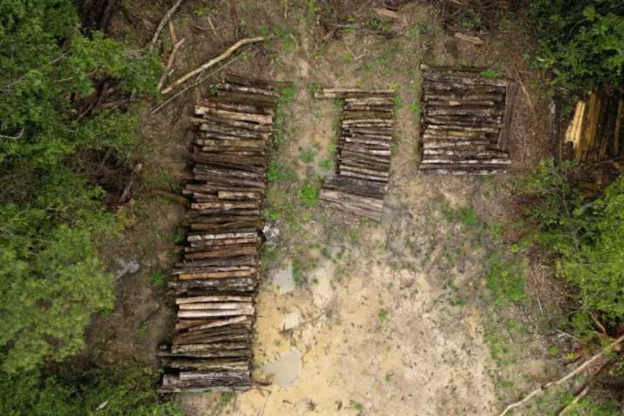 Floresta Amazonica e derrubada para construcao de estrada em meio.jpg