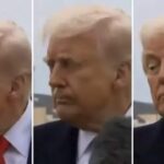 Trump leva microfonada no rosto e reacao viraliza veja.jpg