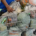preco-de-cesta-basica-cresce-em-14-de-17-capitais