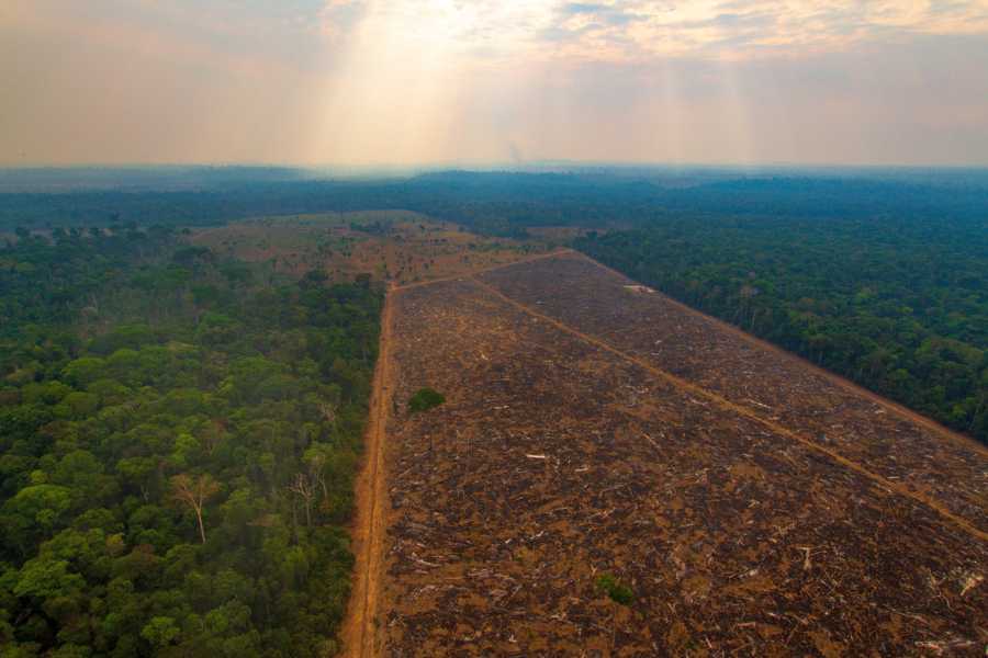 Degradacao na Amazonia Legal dispara quase 500 no inicio de.jpg