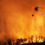 Desmatamento dispara no Cerrado e avanca na Amazonia Legal sob.jpg
