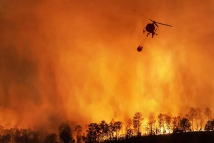Desmatamento dispara no Cerrado e avanca na Amazonia Legal sob.jpg