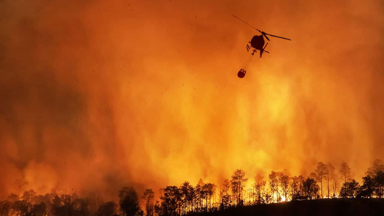 Desmatamento dispara no Cerrado e avanca na Amazonia Legal sob.jpg