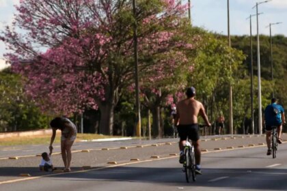 dois-tercos-dos-brasileiros-moram-em-ruas-arborizadas-mato-grosso-do-sul-e-o-unico-estado-com-percentual-acima-de-90-foto-fabio-rodrigues-pozzebom-abr-tvt-news