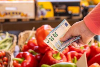 Entenda os motivos da disparada nos preços do tomate e ovo