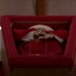 lula-trump-milei-quem-estara-funeral-papa-francisco-vladimir-putin-nao-deve-comparecer-ao-funeral-foto-vatican-news-reproducao