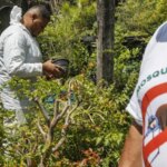 dengue--sp--mg-e-pr-concentram-73-porcento-dos-casos-e-86-porcento-dos-obitos--letalidade-em-sao-paulo-e-maior-do-que-a-media-nacional--foto-paulo-pinto-abr-tvt-news