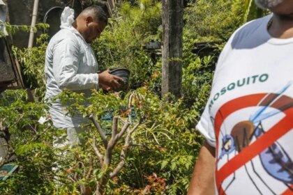 dengue--sp--mg-e-pr-concentram-73-porcento-dos-casos-e-86-porcento-dos-obitos--letalidade-em-sao-paulo-e-maior-do-que-a-media-nacional--foto-paulo-pinto-abr-tvt-news
