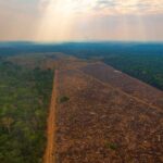 Amazonia alerta de desmatamento cresce e mobiliza governo.jpg