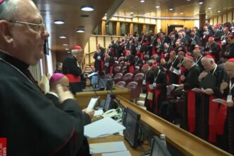 cardeais-definem-qualidades-do-novo-papa-na-ultima-reuniao-antes-do-conclave-cardeais-pensam-em-perfil-do-novo-papa-que-siga-as-reformas-de-francisco-imagem-vatican-news-tvt-news