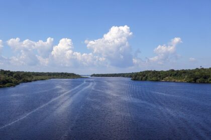 ibama-aprova-etapa-de-exploracao-de-petroleo-na-bacia-da-foz-do-amazonas-tvt-news