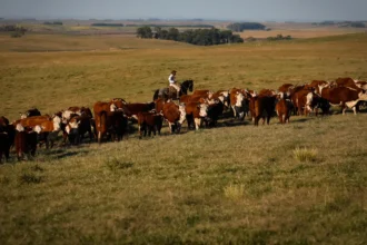 pib-cresce-1-4-no-1-trimestre-em-relacao-ao-trimestre-anterior-foto-agropecuaria-tvt-news
