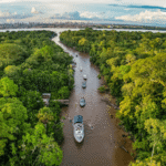 cop-30-para-foi-o-estado-com-maior-desmatamento-do-brasil-de-2019-a-2024-para-sera-sede-da-cop-30-foto-ricardo-stuckert-pr-tvt-news