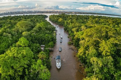 cop-30-para-foi-o-estado-com-maior-desmatamento-do-brasil-de-2019-a-2024-para-sera-sede-da-cop-30-foto-ricardo-stuckert-pr-tvt-news