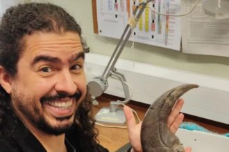 pirulla-youtuber-de-divulgacao-cientifica-sofre-avc-pirulla-sofreu-avc-e-amigos-pedem-doacoes-imagem-redes-sociais-pirulla-tvt-news