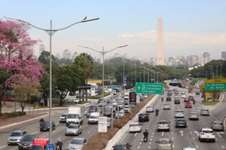 sao-paulo-mortes-transito-foto-rovena-rosa-tvt-news