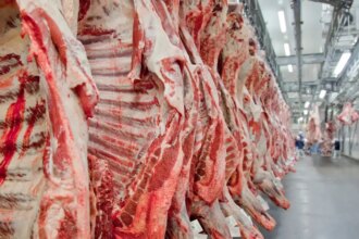 sao-paulo-carnes-bovina-e-de-porco-mais-baratas-o-file-mignon-registrou-a-maior-queda-no-periodo-8-25-por-cento-foto-abiec-divulgacao-tvt-news