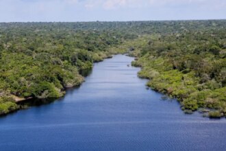 amazonia-renato-janine-ribeiro-foto-abr-tvt-news