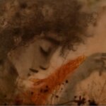 curta-safo-premiado-maior-festival-animacao-mundo-bndes-planta-filmes-reproducao-tvt-news