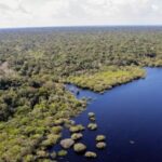 dia-mundial-meio-ambiente-midr-reforca-compromisso-sofre-impactos-crise-climatica-comite-prioriza-protecao-comunidades-vulneraveis-prepara-brasil-liderar-cop30-agencia-brasil-tvt-news