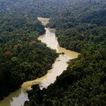 fundo-amazonia-aprova-1-bilhao-e-bate-recorde-o-fundo-viabiliza-apoio-a-projetos-para-conservacao-e-uso-sustentavel-das-florestas-na-amazonia-legal-foto-icmbio-tvt-news