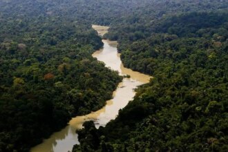 fundo-amazonia-aprova-1-bilhao-e-bate-recorde-o-fundo-viabiliza-apoio-a-projetos-para-conservacao-e-uso-sustentavel-das-florestas-na-amazonia-legal-foto-icmbio-tvt-news