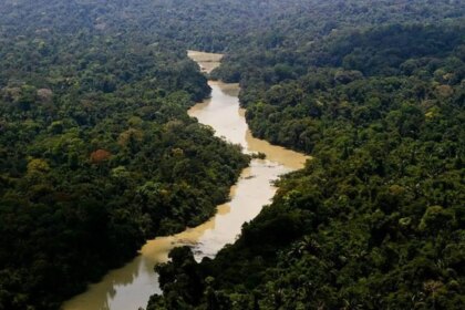 fundo-amazonia-aprova-1-bilhao-e-bate-recorde-o-fundo-viabiliza-apoio-a-projetos-para-conservacao-e-uso-sustentavel-das-florestas-na-amazonia-legal-foto-icmbio-tvt-news