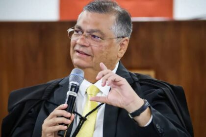 STF nao atua por interesse do governo diz Dino sobre.jpg