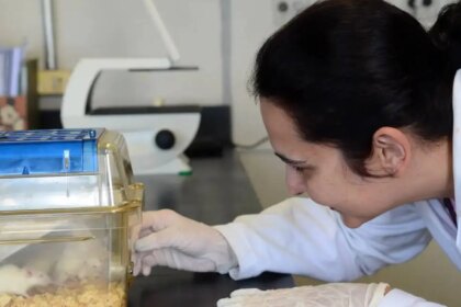 tecidos-feitos-em-laboratorio-podem-aperfeicoar-testes-de-medicamentos--modelo-da-gcell-simula-tecido-humano--foto-rovena-rosa-agencia-brasil-tvt-news