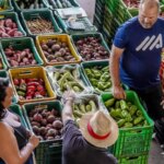 Cesta básica tem custo menor em 11 capitais, mostra Dieese A batata está entre os produtos que tiveram queda. Foto: Rafa Neddermeyer/Agência Brasil TVT News