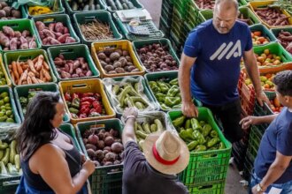 Cesta básica tem custo menor em 11 capitais, mostra Dieese A batata está entre os produtos que tiveram queda. Foto: Rafa Neddermeyer/Agência Brasil TVT News