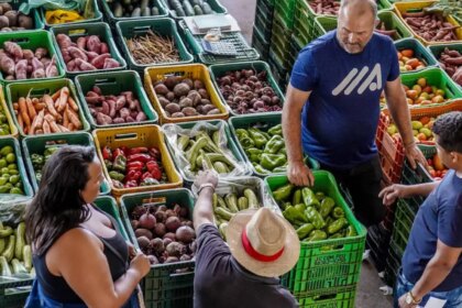 Cesta básica tem custo menor em 11 capitais, mostra Dieese A batata está entre os produtos que tiveram queda. Foto: Rafa Neddermeyer/Agência Brasil TVT News