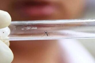 Governo abre fabrica de mosquitos contra a dengue Entenda.jpg