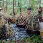 11-milhoes-vivem-unidades-de-conservacao-foto-ibge-tvt-news