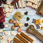 mexico-abre-mercados-para-produtos-brasileiros-para-alimentacao-animal-mexico-e-o-segundo-maior-mercado-para-produtos-pet-da-regiao-foto-divulgacao-tvt-news
