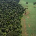 Recursos da Terra para 2025 ja acabaram.jpg