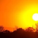 calor deixa 2300 mortos na Europa.jpg