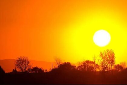 calor deixa 2300 mortos na Europa.jpg