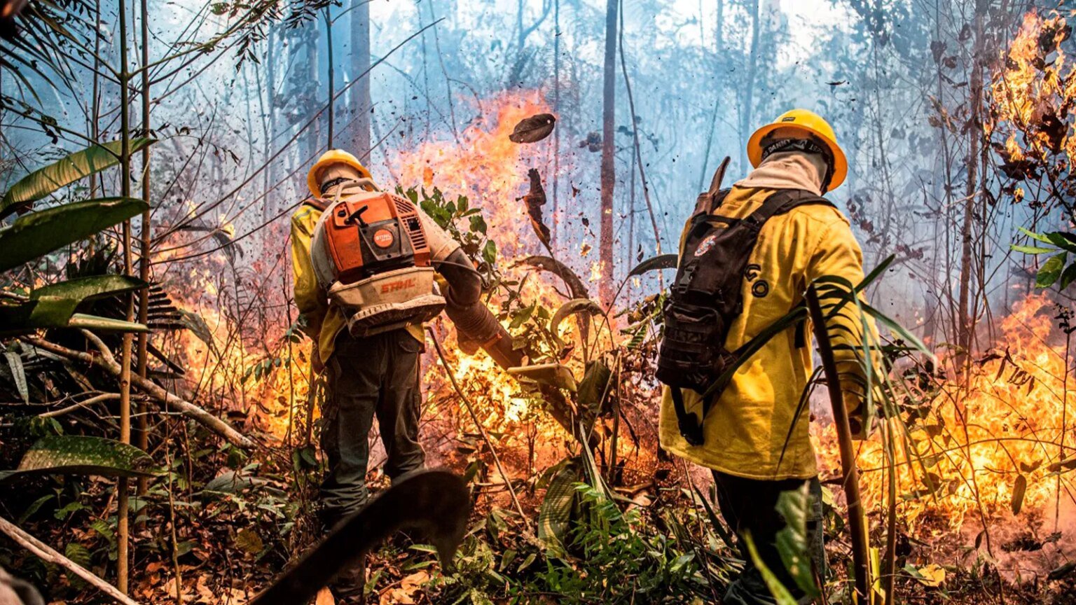 Brasil alcança menor índice de focos de calor dos últimos 12 anos 1 brasil-alcanca-menor-indice-focos-calor-ultimos-12-anos-mayangdi-inzaulgarat-ibama-tvt-news