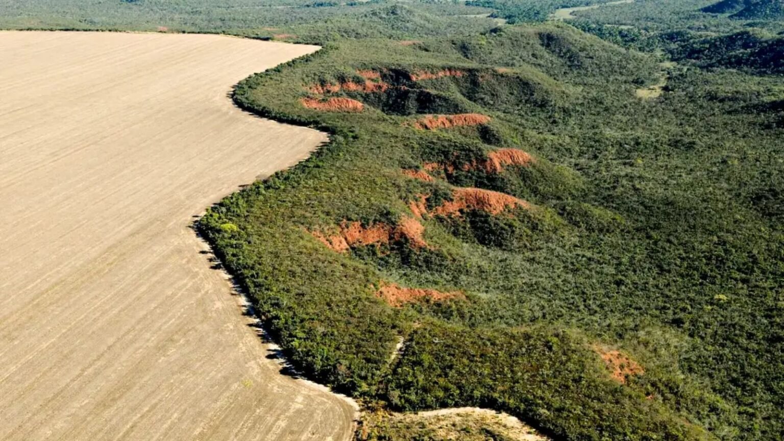 PL da Devastacao com vetos governo garante protecao ambiental e.jpg