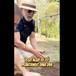 lula-envia-video-a-trump-semear-comida-e-nao-o-odio-reproducao-do-video-a-trump-lula-planta-uva-e-diz-semear-comida-e-nao-odio-foto-reproducao-instagram-lula-tvt-news
