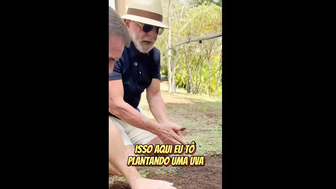 lula-envia-video-a-trump-semear-comida-e-nao-o-odio-reproducao-do-video-a-trump-lula-planta-uva-e-diz-semear-comida-e-nao-odio-foto-reproducao-instagram-lula-tvt-news