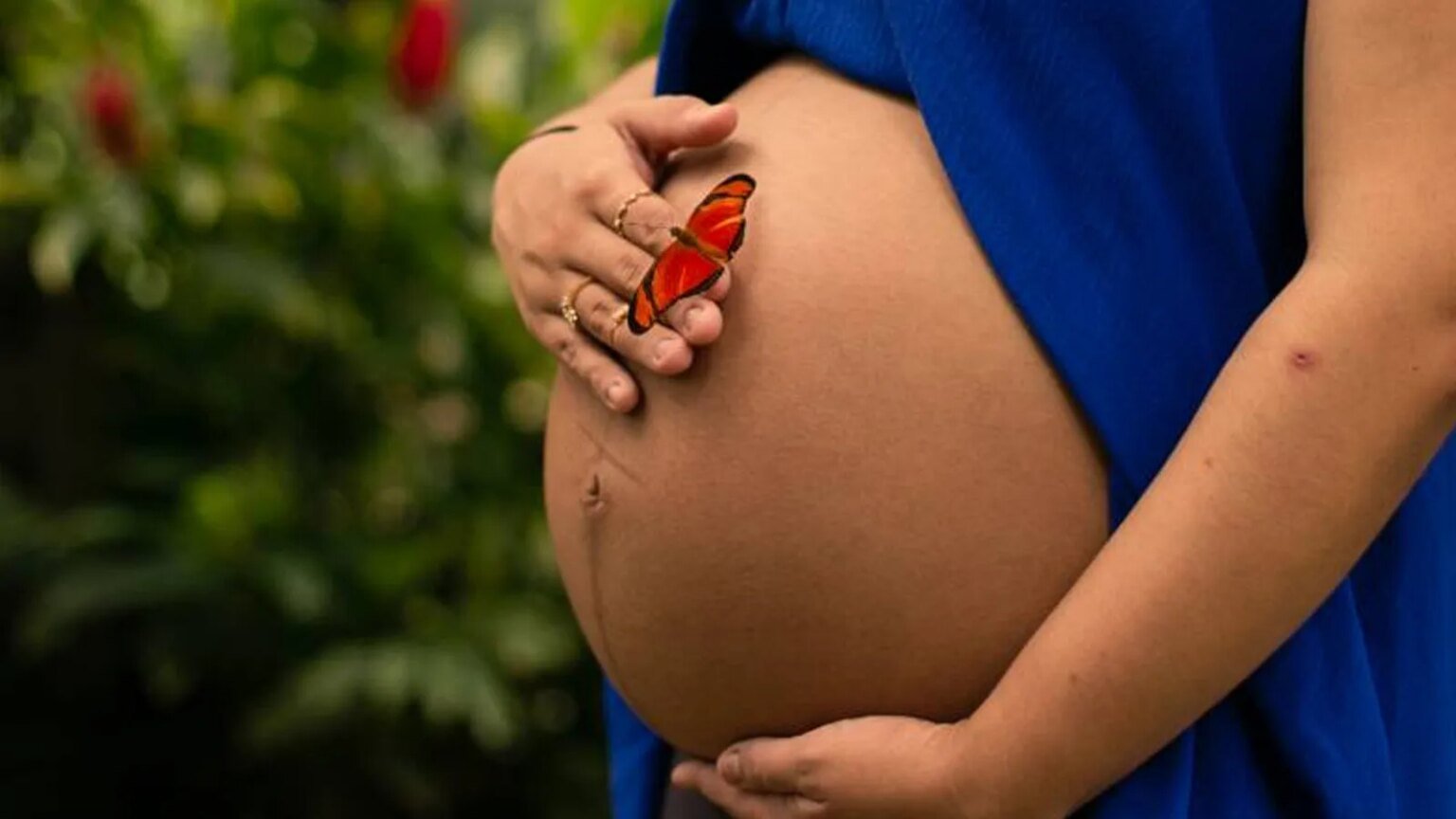 Ampliação da licença-maternidade é sancionada por Lula 1 ampliacao-licenca-maternidade-sancionada-por-lula-rogerio-uchoa-agencia-para-tvt-news