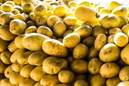 Batata, ovos e verduras reduzem pressão sobre inflação em agosto em SP 2 Batata ovos e verduras reduzem pressao sobre inflacao em agosto.jpg